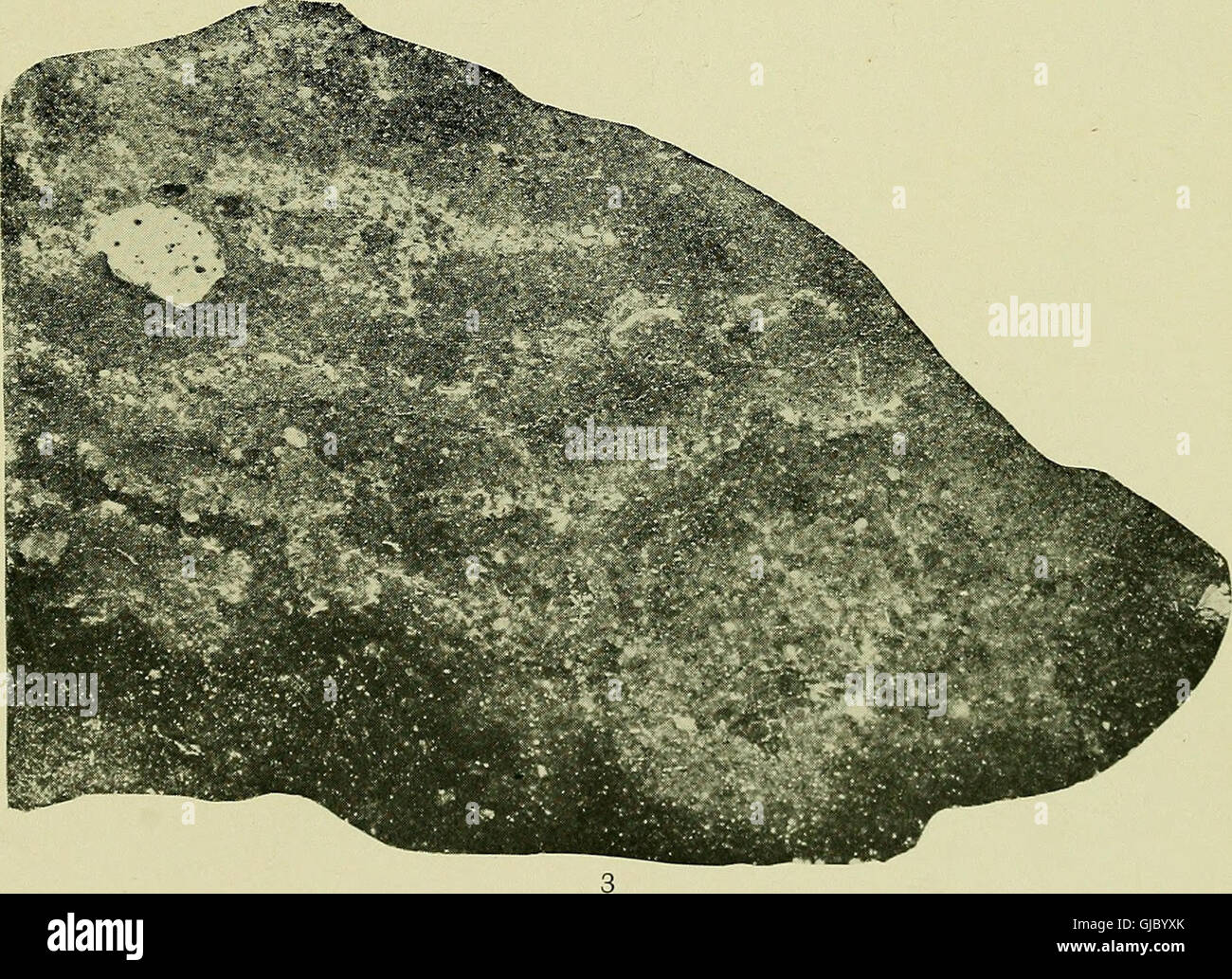 Bulletin of the Geological Society of America (1921 Stock Photo - Alamy