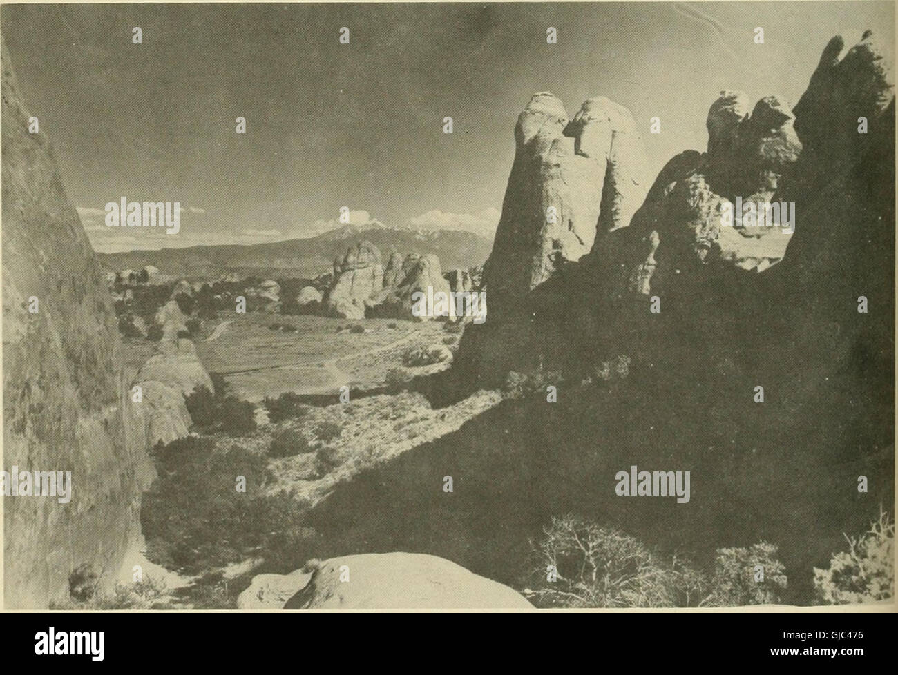 Brigham Young University science bulletin (1955) Stock Photo