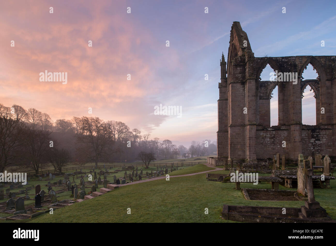 Purple Headstones High Resolution Stock Photography and Images - Alamy