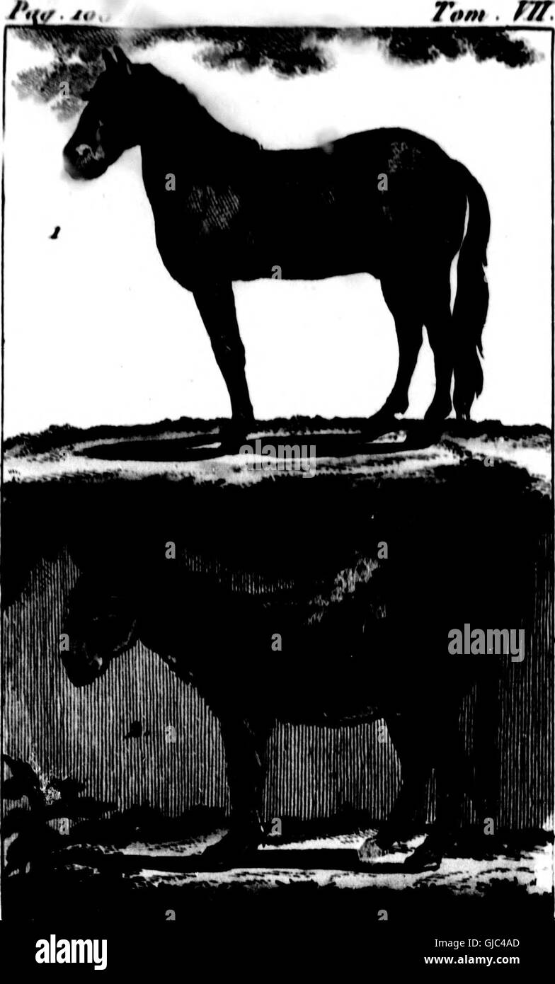 This work by Buffon offers a natural history classification based on ...