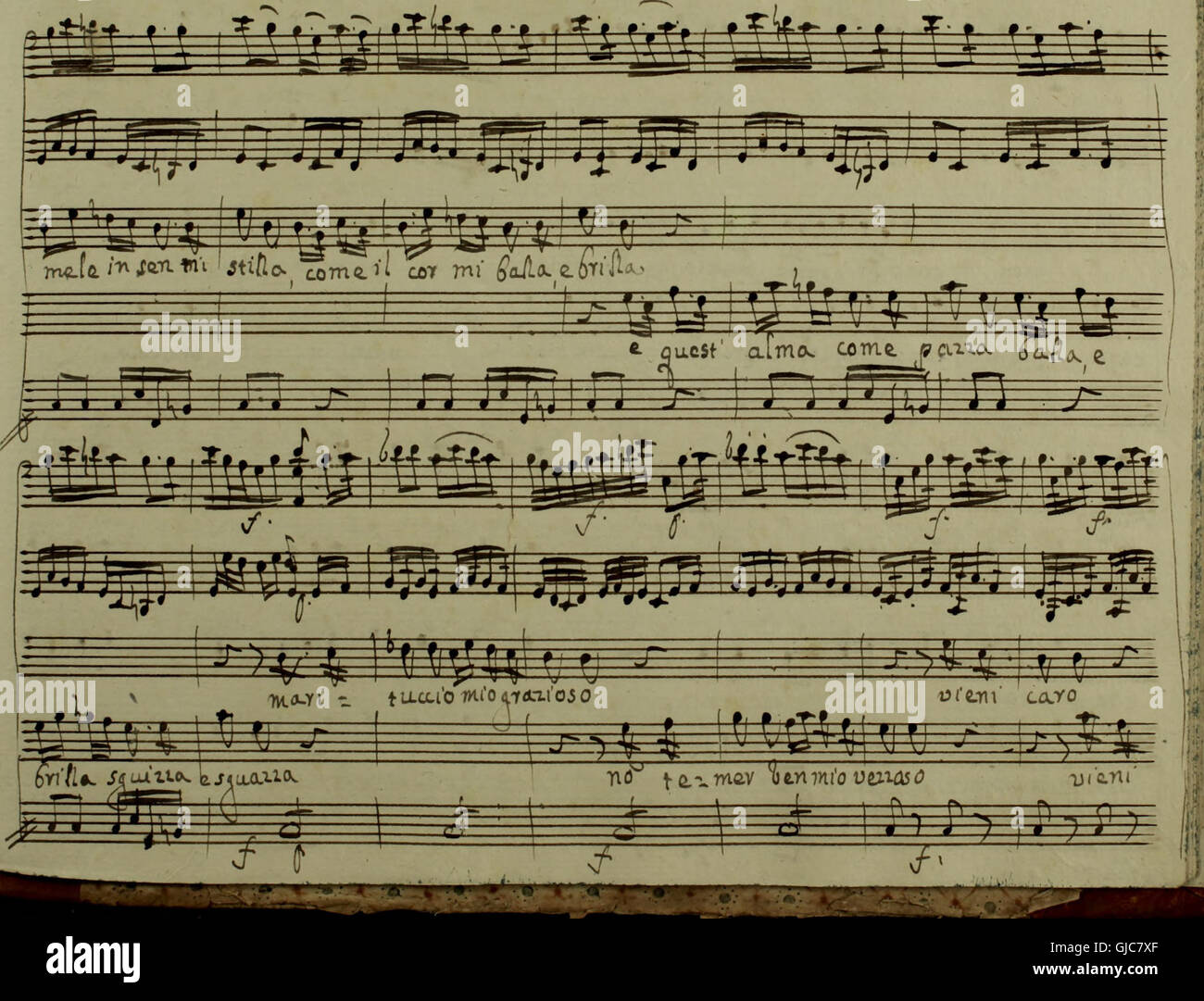 Immaginario hires stock photography and images Alamy