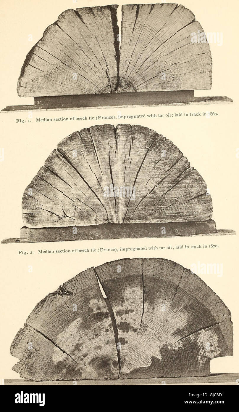 This 1902 guide addresses the causes of timber decay and outlines ...