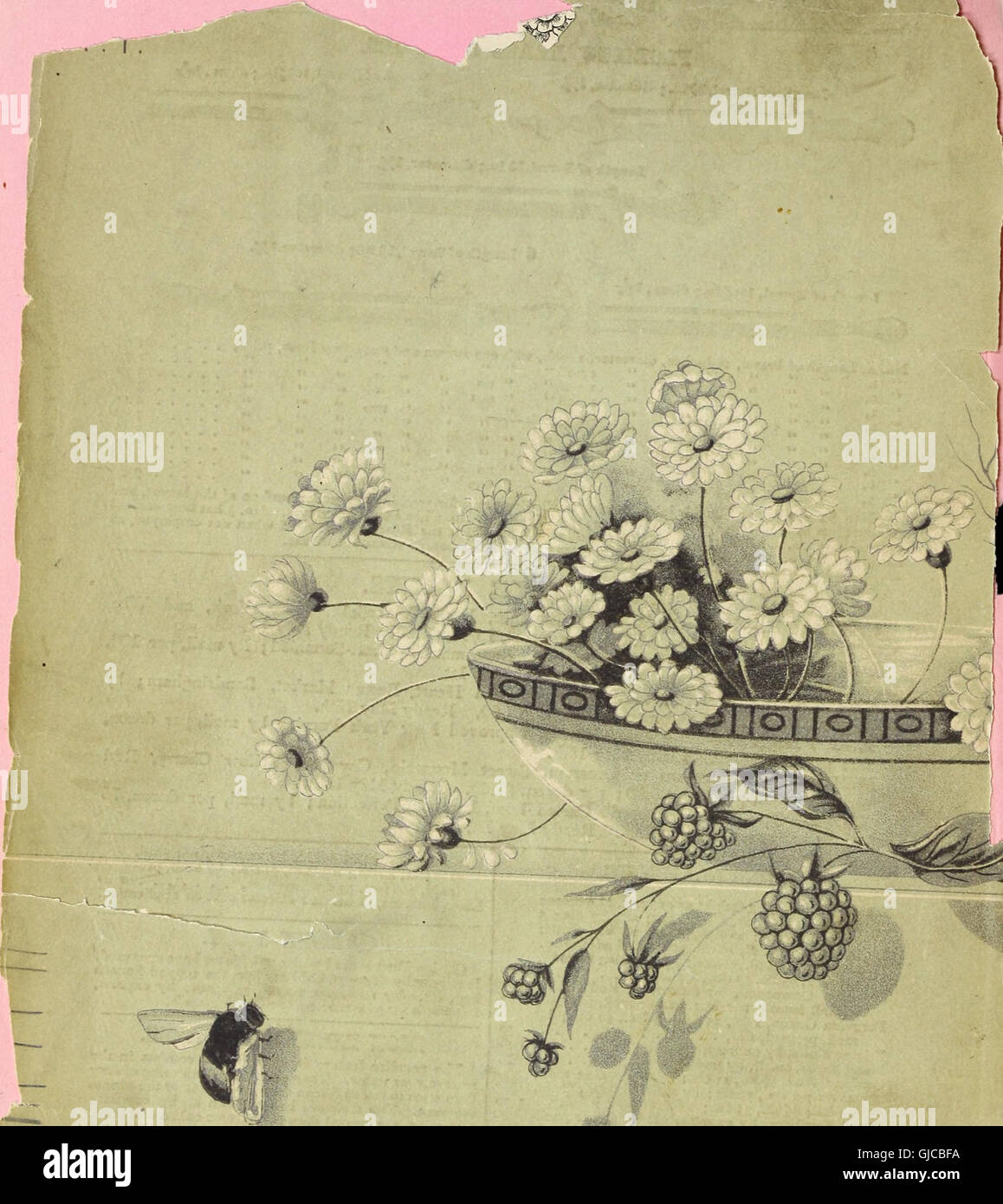 John Saul's 1884 catalog lists a wide range of plants for the spring