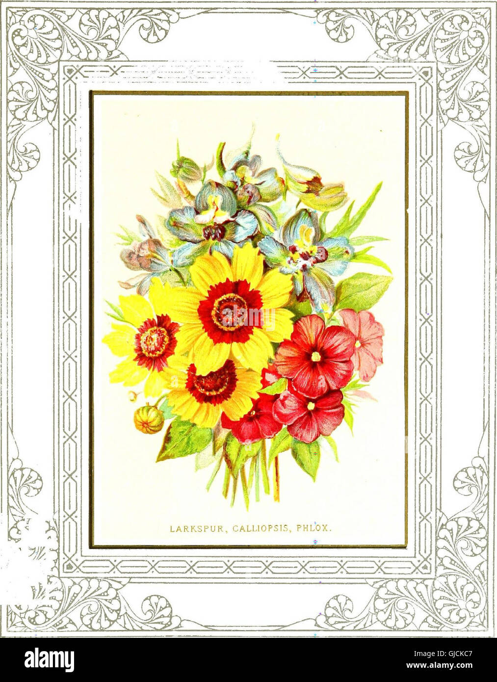 Floral poetry and the language of flowers (1877 Stock Photo Alamy