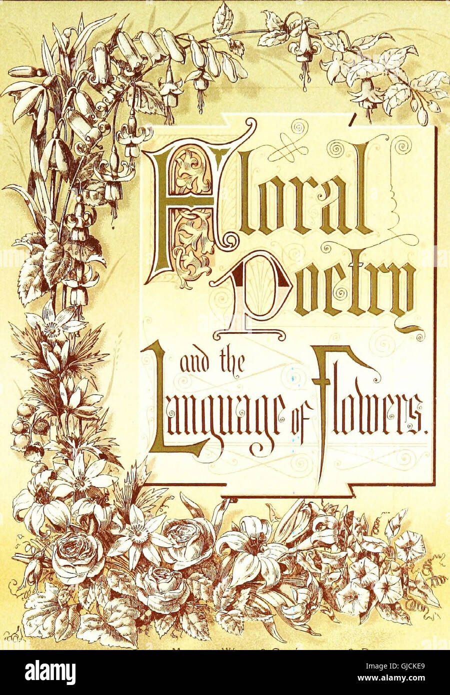 Floral poetry and the language of flowers (1877 Stock Photo Alamy