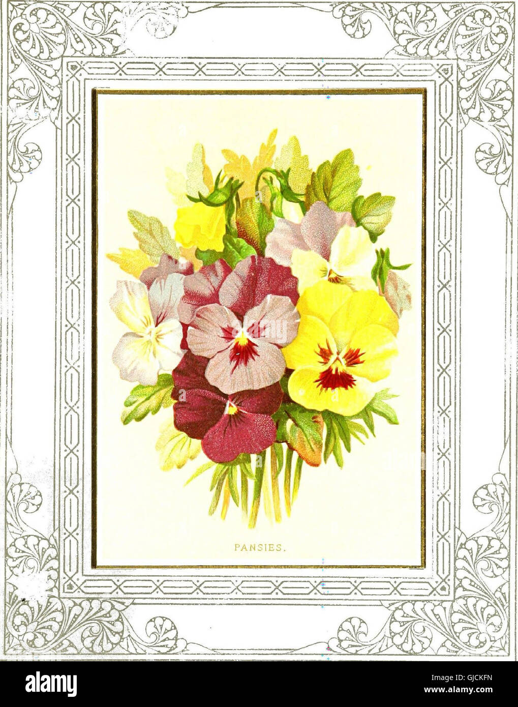 Floral poetry and the language of flowers (1877 Stock Photo Alamy