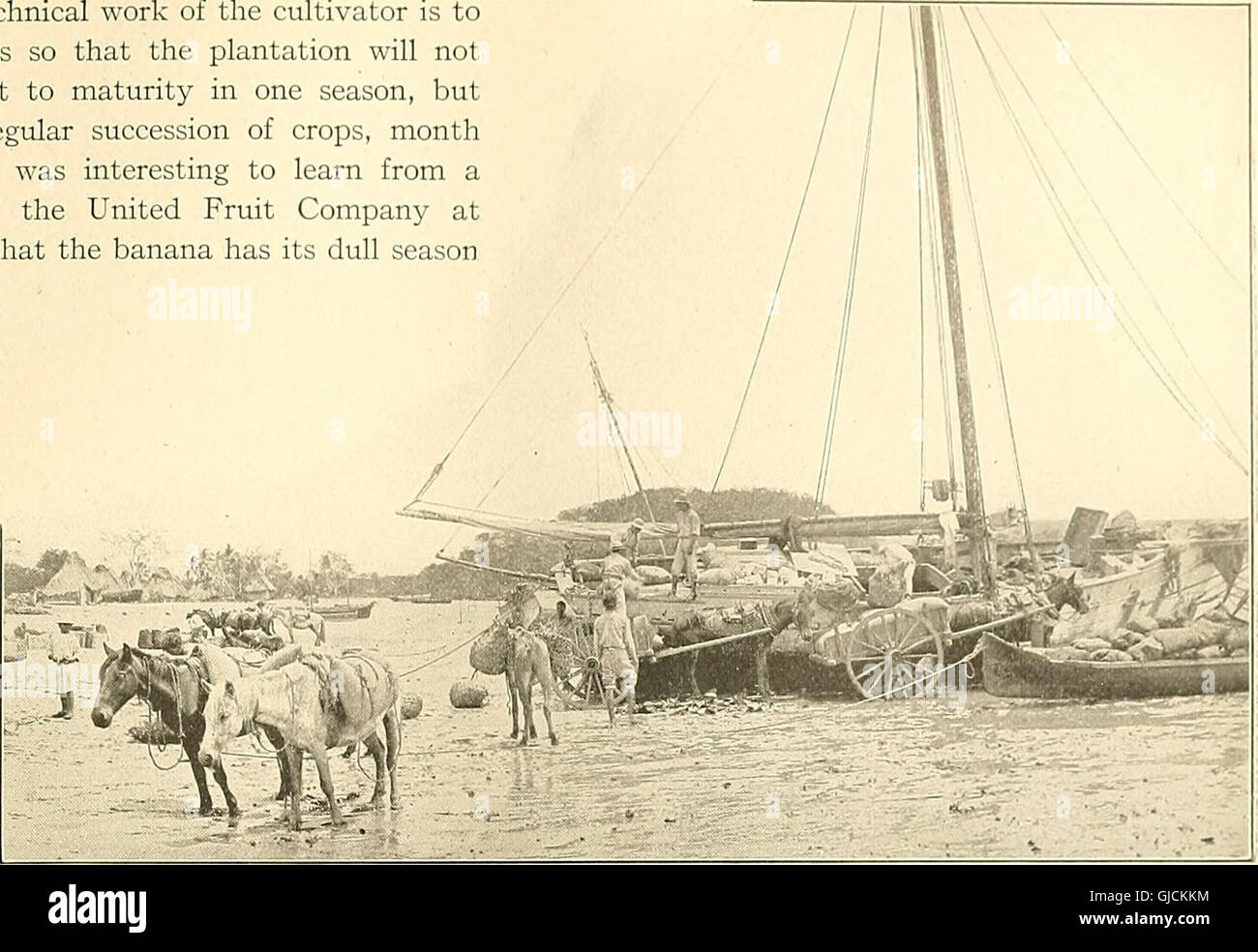 'Panama and the Canal in Picture and Prose' (1913) is a visual and ...