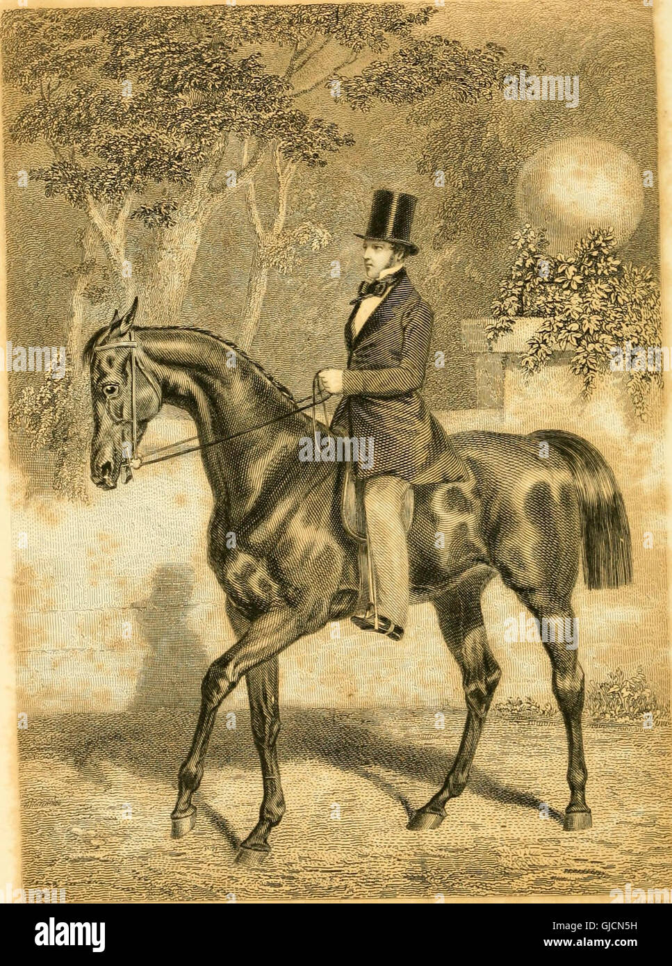 Horsemanship, or, The art of riding and managing a horse adapted for