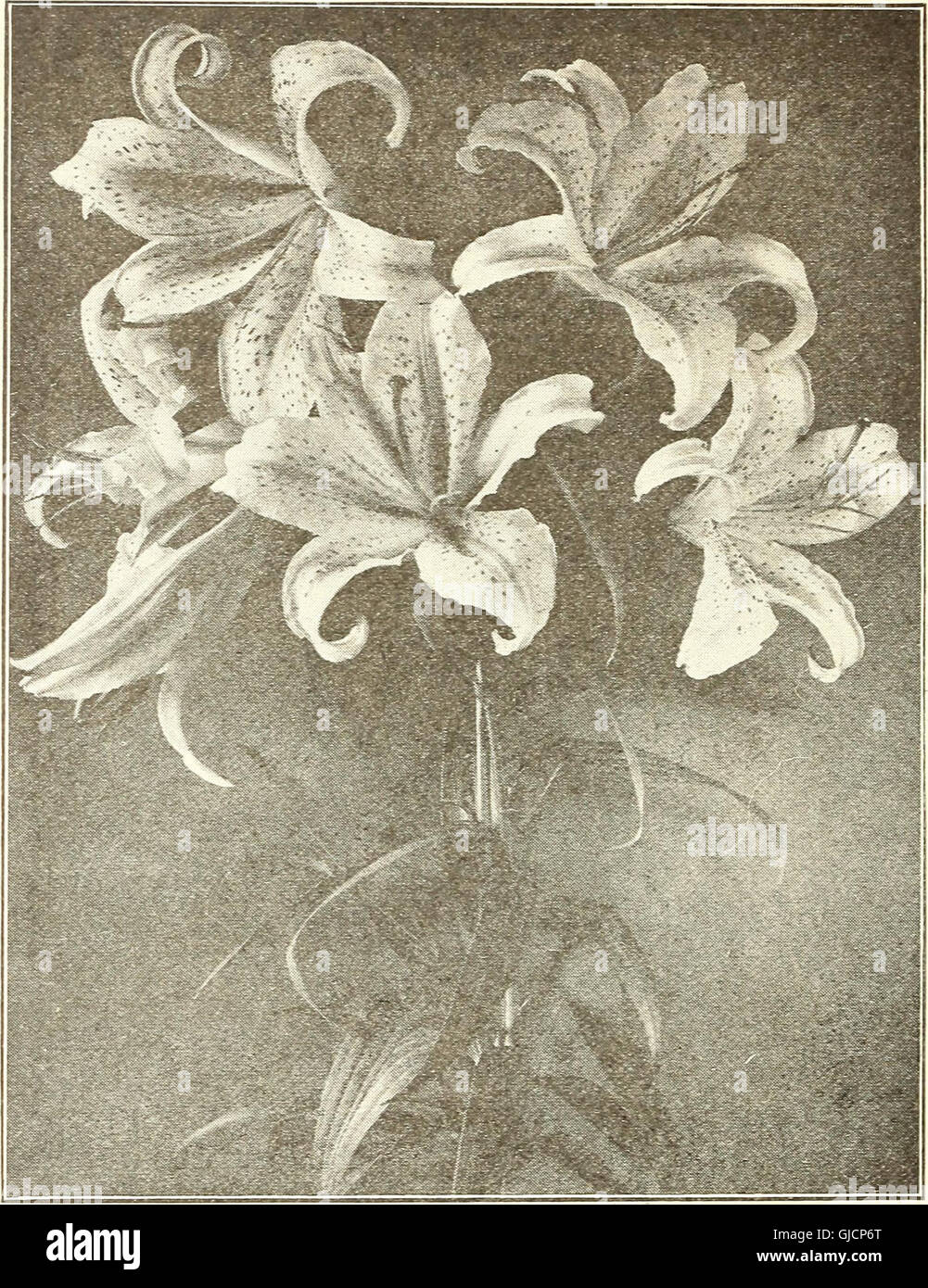 A 1918 seed catalog detailing varieties of seeds for agriculture and