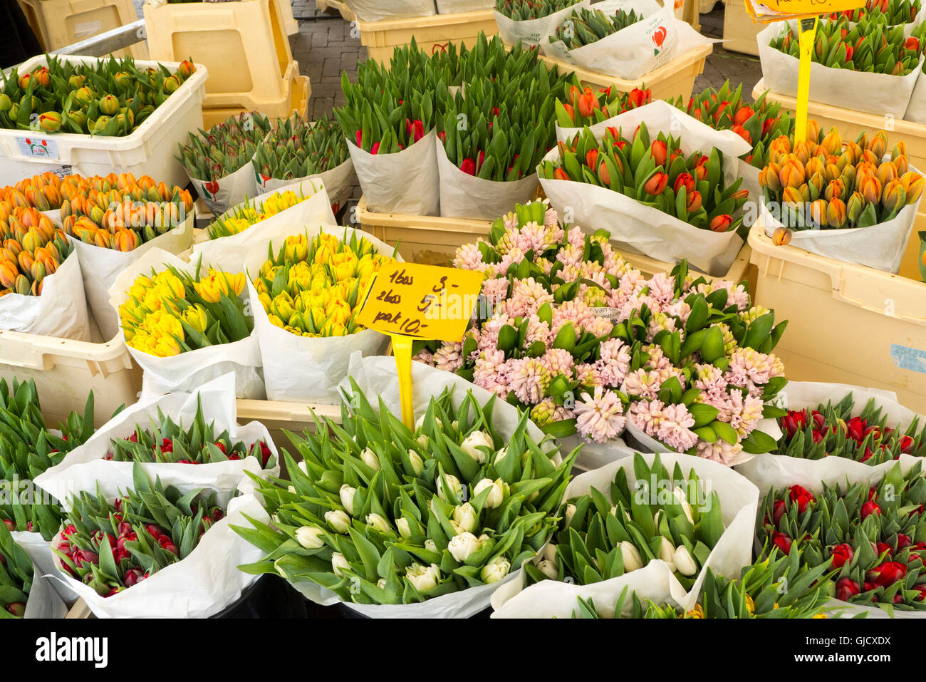 farmers market on the Nieuwmarkt, flower stand, Amsterdam, Holland, Netherlands Stock Photo