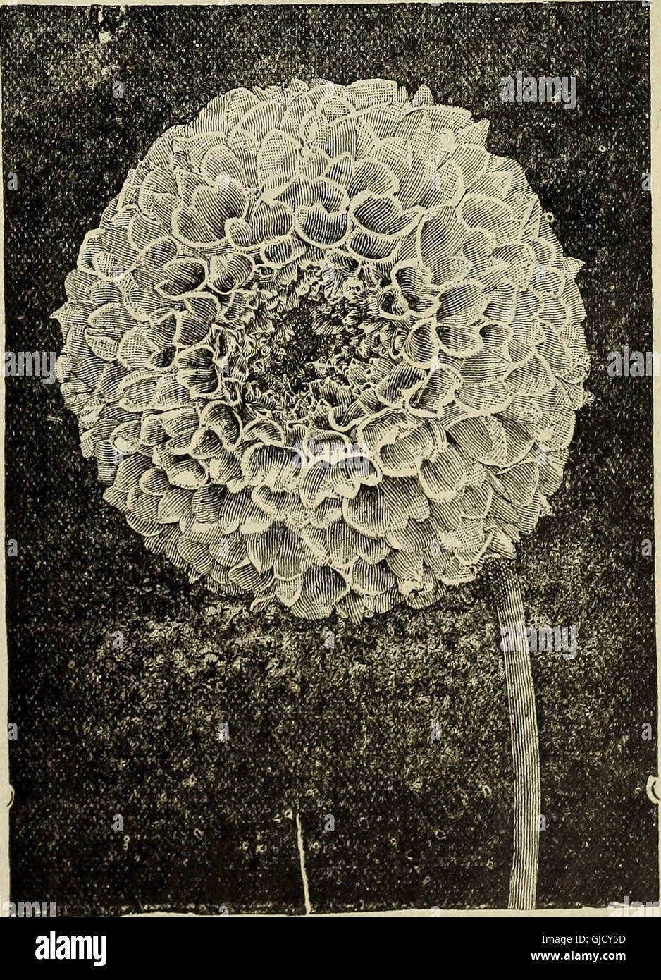 This 1900 catalogue features a comprehensive list of items, artworks