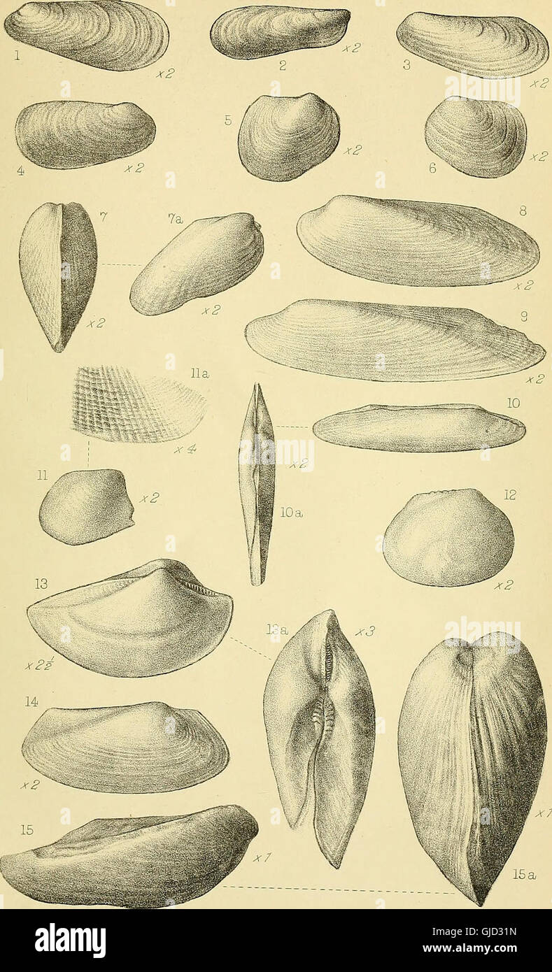 Geological magazine (1905 Stock Photo Alamy