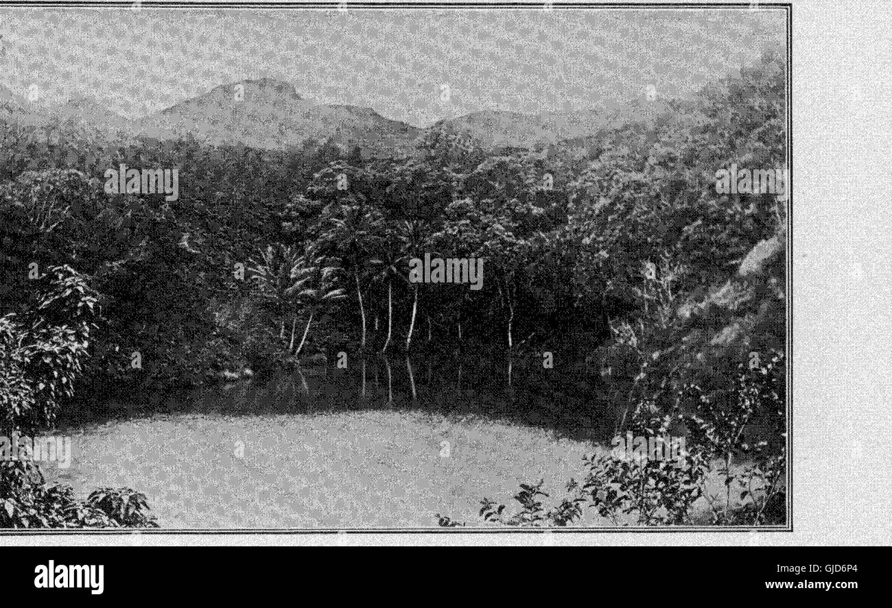 Memoirs of the Bernice Pauahi Bishop Museum of Polynesian Ethnology and Natural History (1899) Stock Photo
