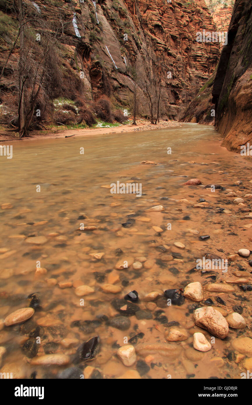 North Fork of the Virgin River in Zion National Park, Utah Stock Photo