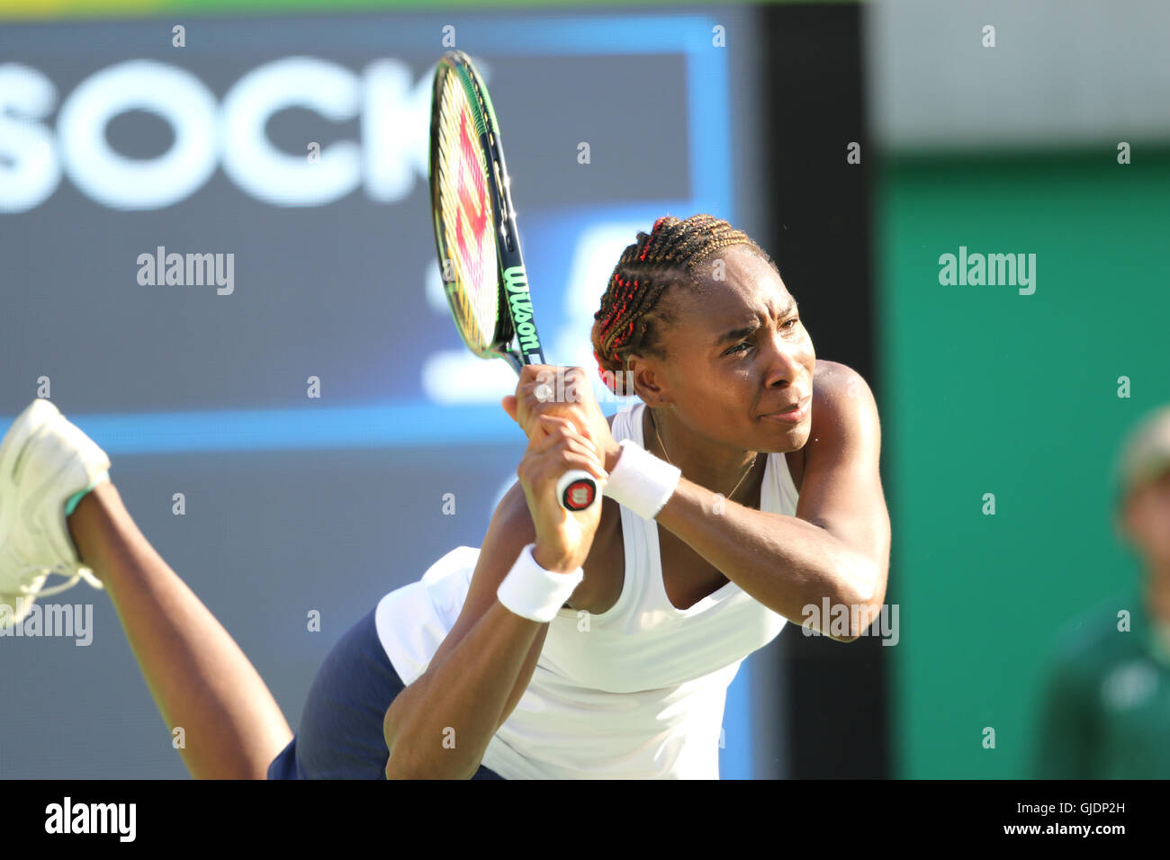 Rio de Janeiro, Brazil. 14th Aug, 2016. Venus Williams in the Olympic Tennis Mixed Doubles final in Rio de Janeiro.  Venus partnered Ram Rajeev and they played against Jack Sock & Bethanie Mattek-Sands Credit:  PictureScotland/Alamy Live News Stock Photo