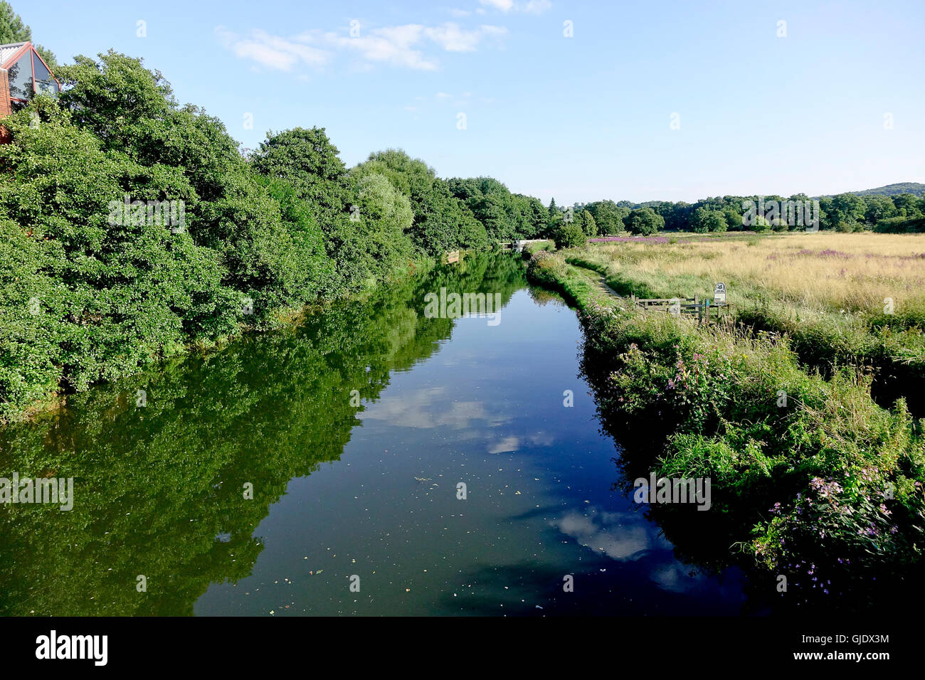 Summer weather aug 14th hires stock photography and images Alamy