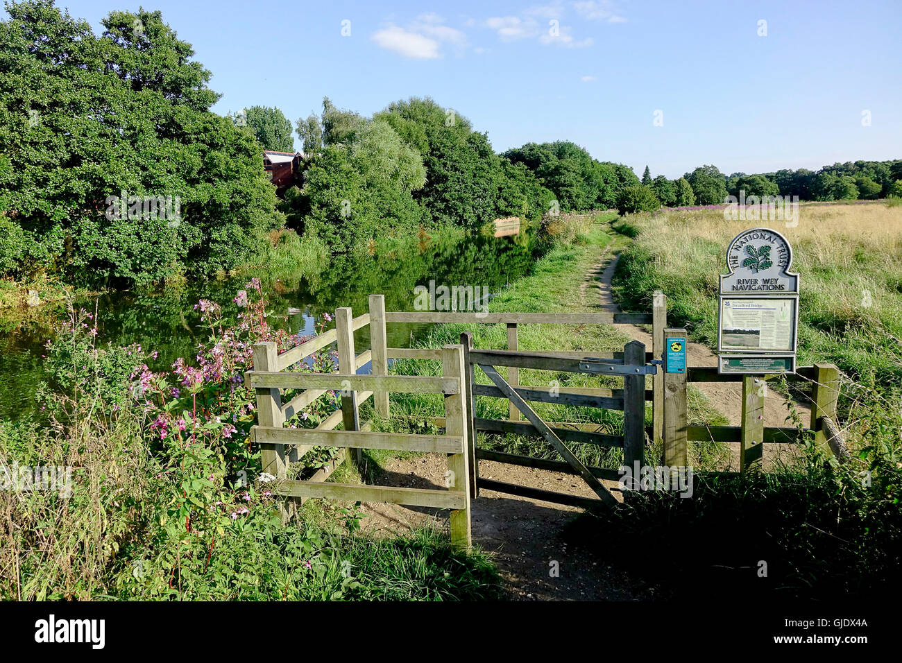 Shalford, Surrey, UK. 14th Aug, 2016. UK Weather High pressure anticyclonic conditions persist