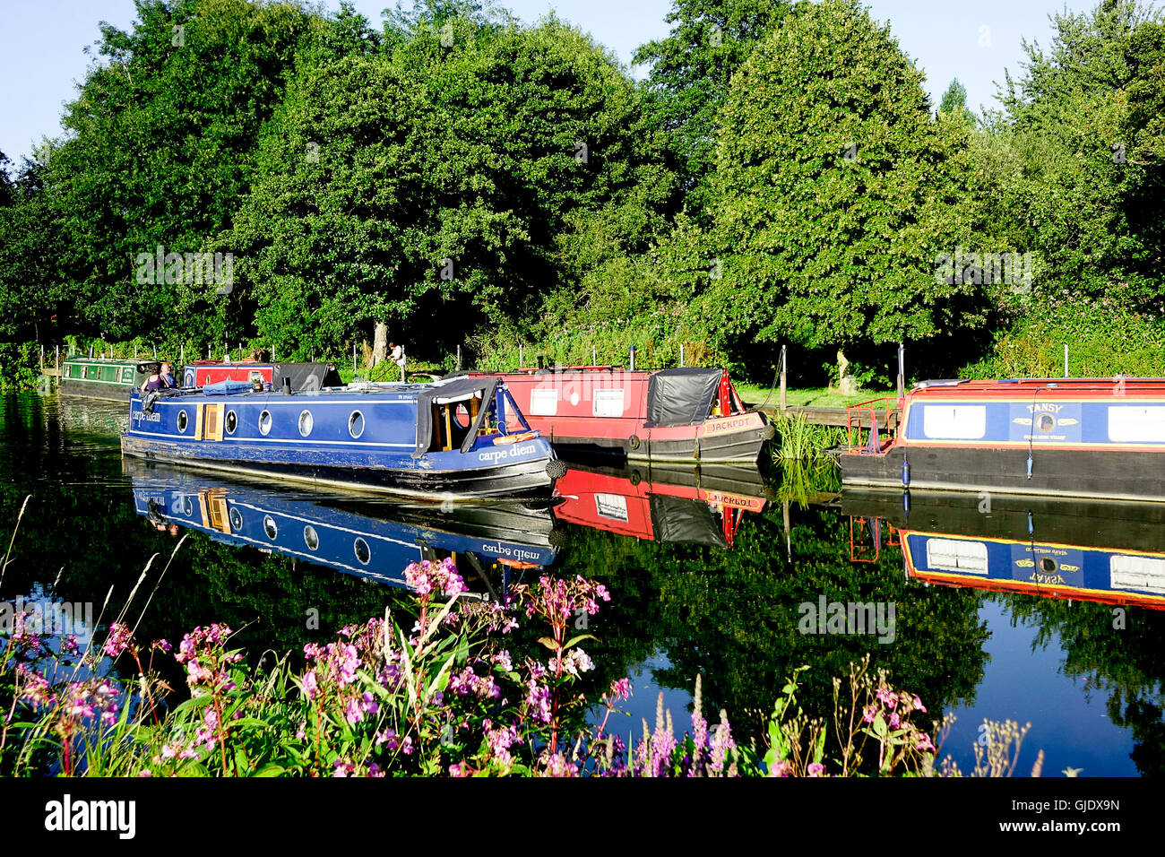 Shalford, Surrey, UK. 14th Aug, 2016. UK Weather High pressure anticyclonic conditions persist