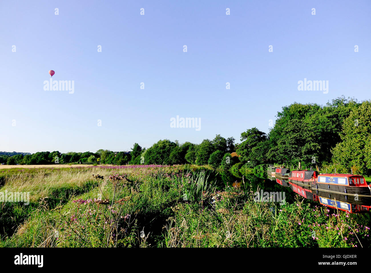 Shalford hires stock photography and images Alamy
