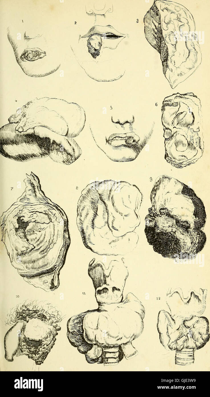 This detailed surgical guide provides a collection of over 1900 ...