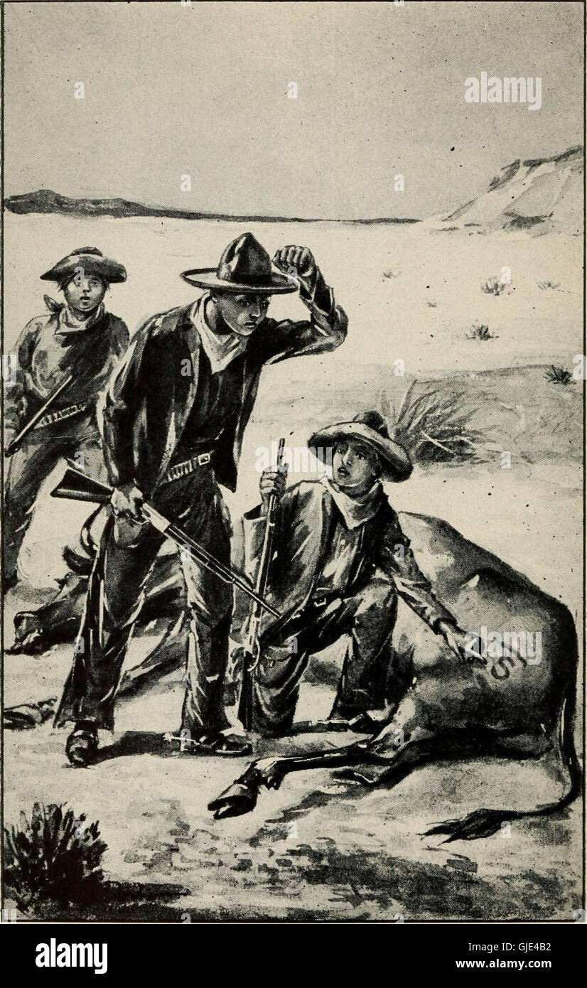 The Broncho rider boys on the Wyoming trail - or, A mystery of the ...