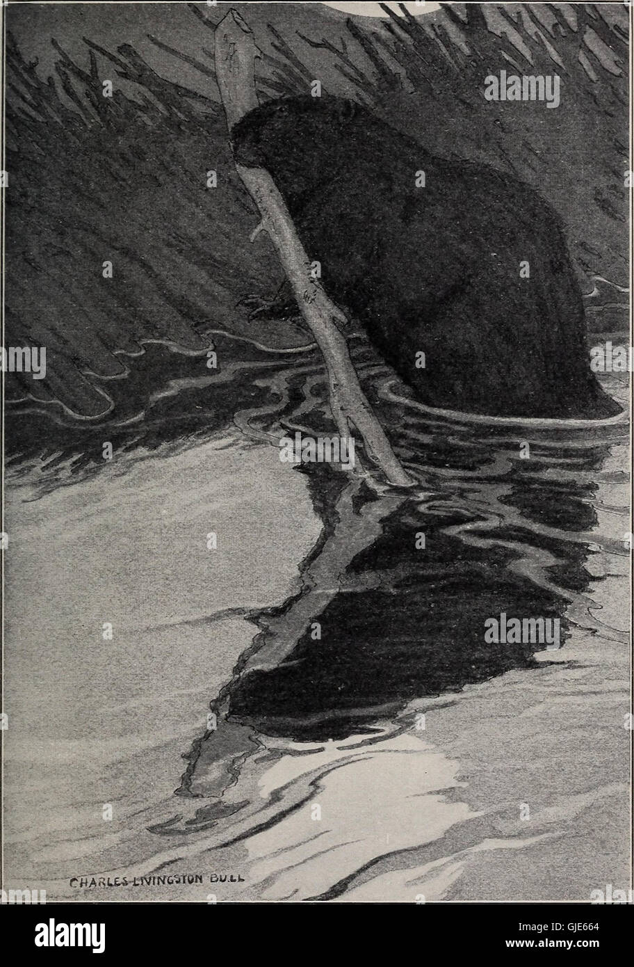 The house in the water- a book of animal stories (1908) Stock Photo
