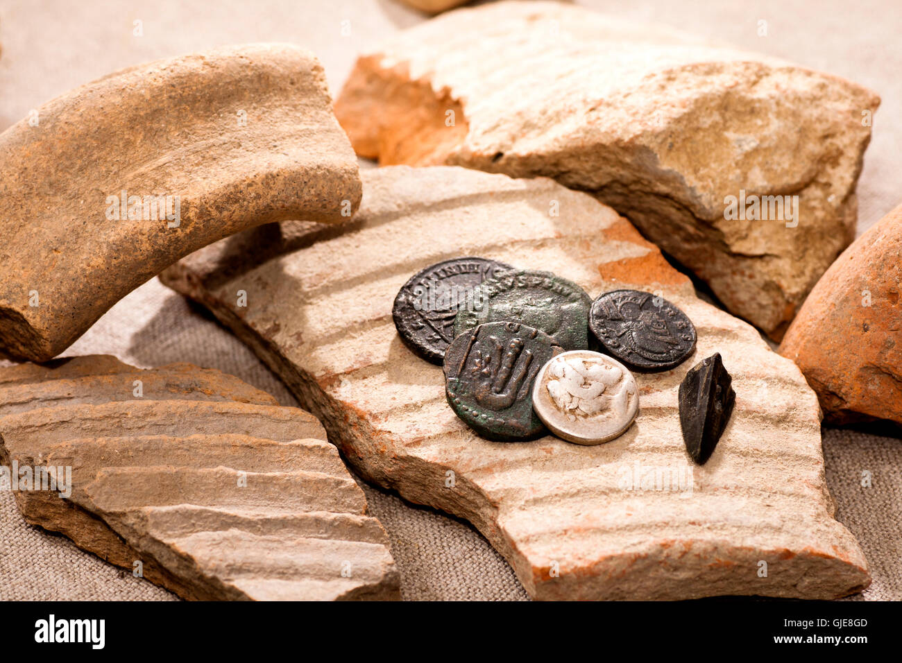 Archaeology coins history hi-res stock photography and images - Alamy