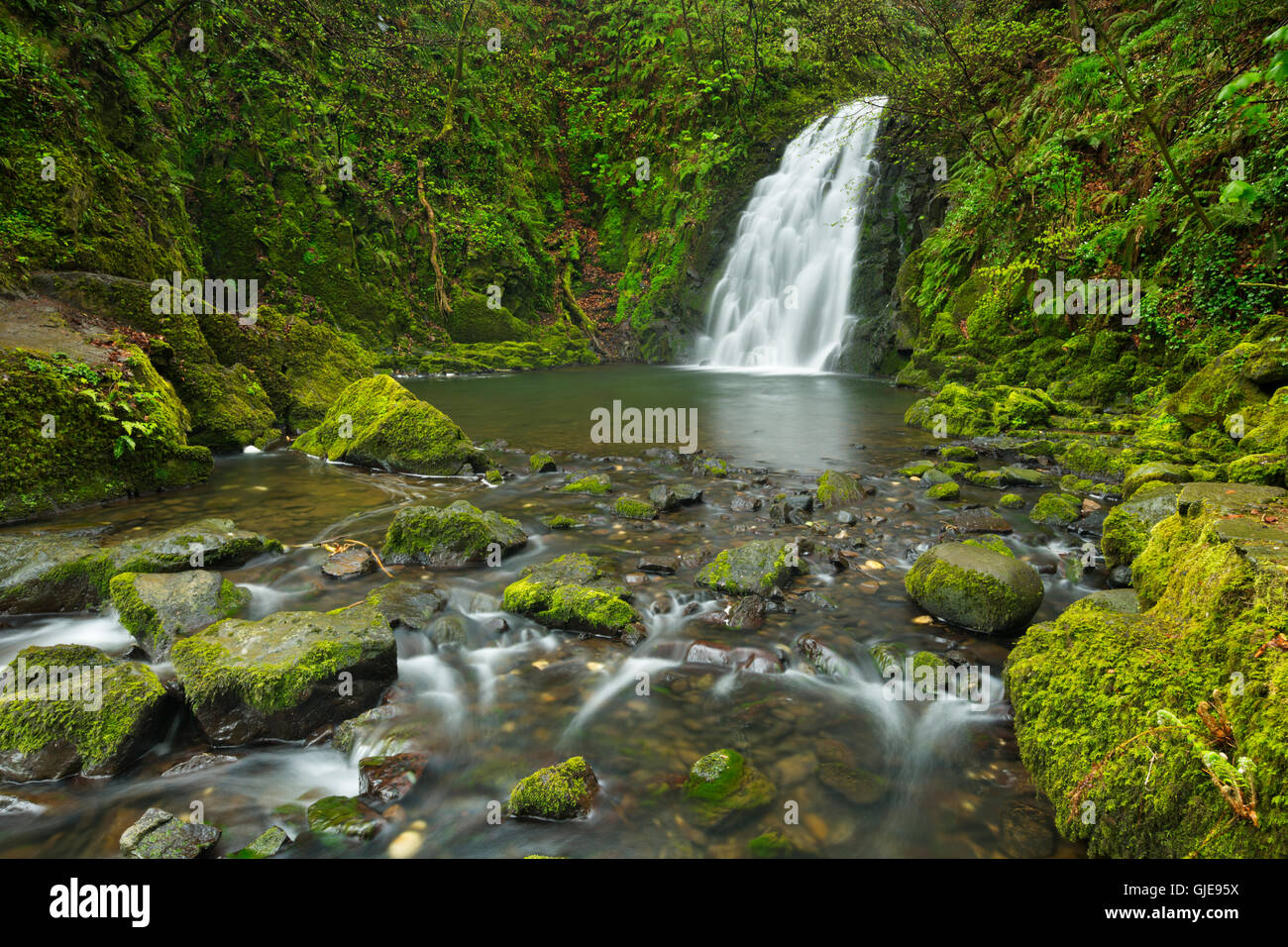 The Gleno or Glenoe Falls near Larne in Northern Ireland. Stock Photo
