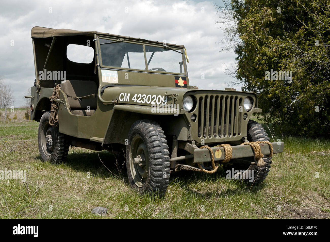 A WWII Jeep with Canadian markings. (Colour palette has been adjusted to approximate Band of Brothers.) Stock Photo
