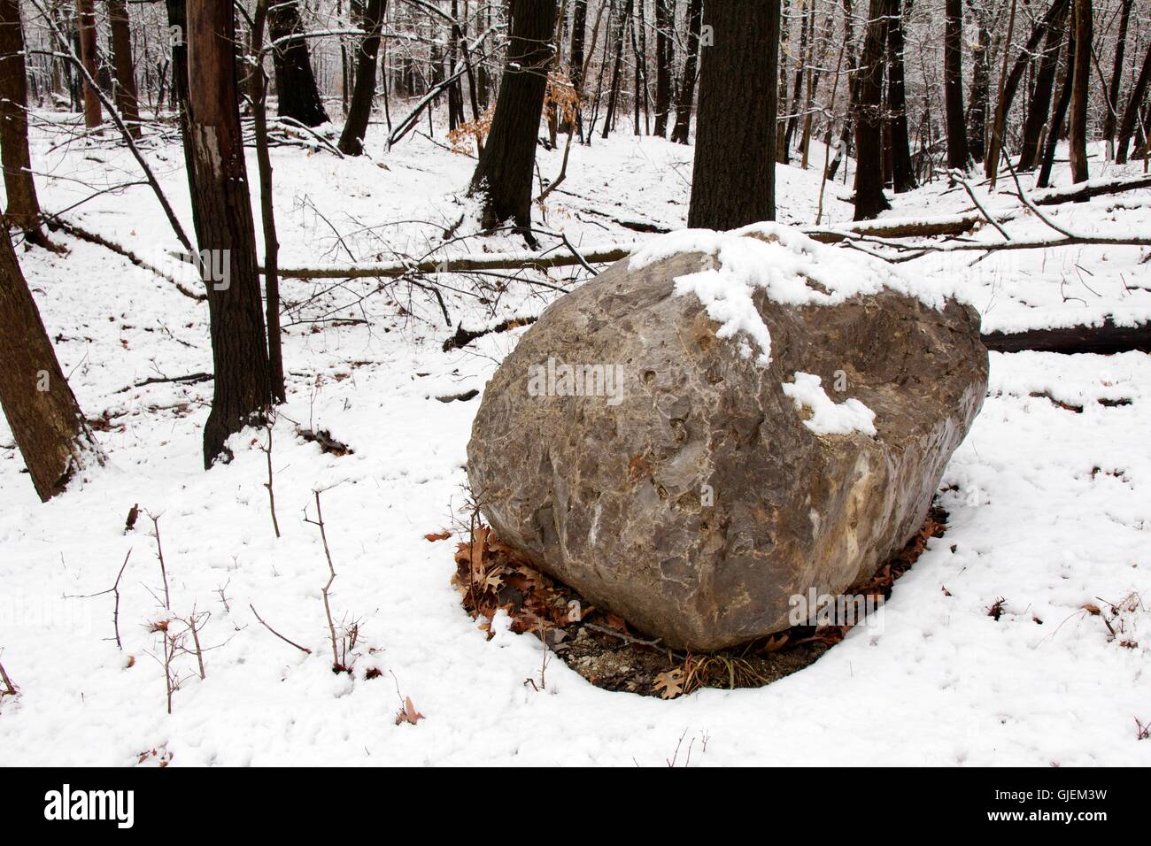 Glacial erratic boulder. Thatcher Woods, River Forest, Illinois. Stock Photo