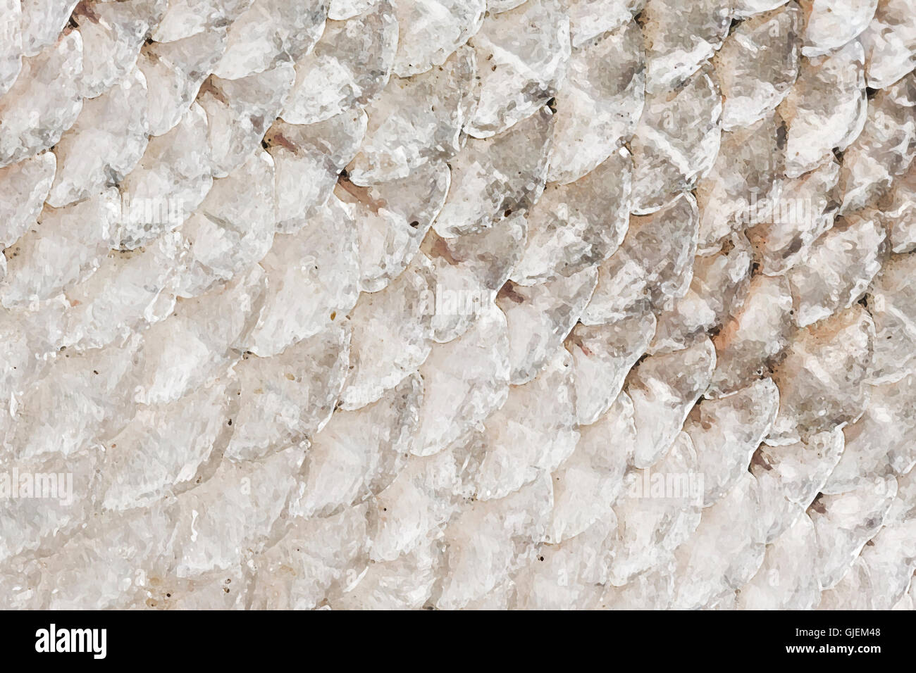 Fish scale texture hires stock photography and images Alamy