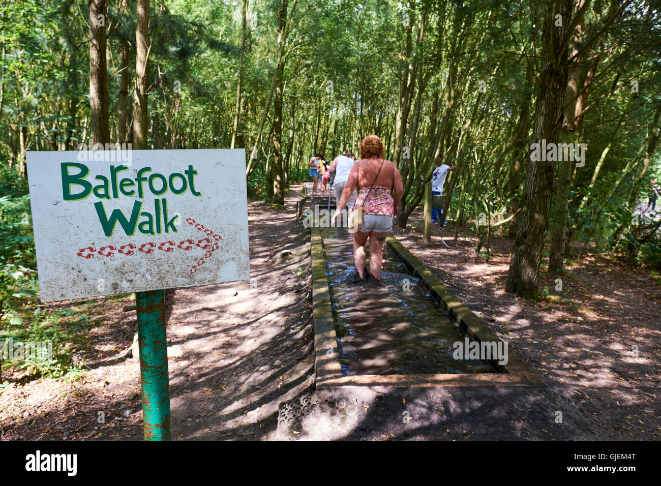 Barefoot Walk Start Sign Within Conkers An Attraction Within The National Forest Moira Derbyshire UK Stock Photo