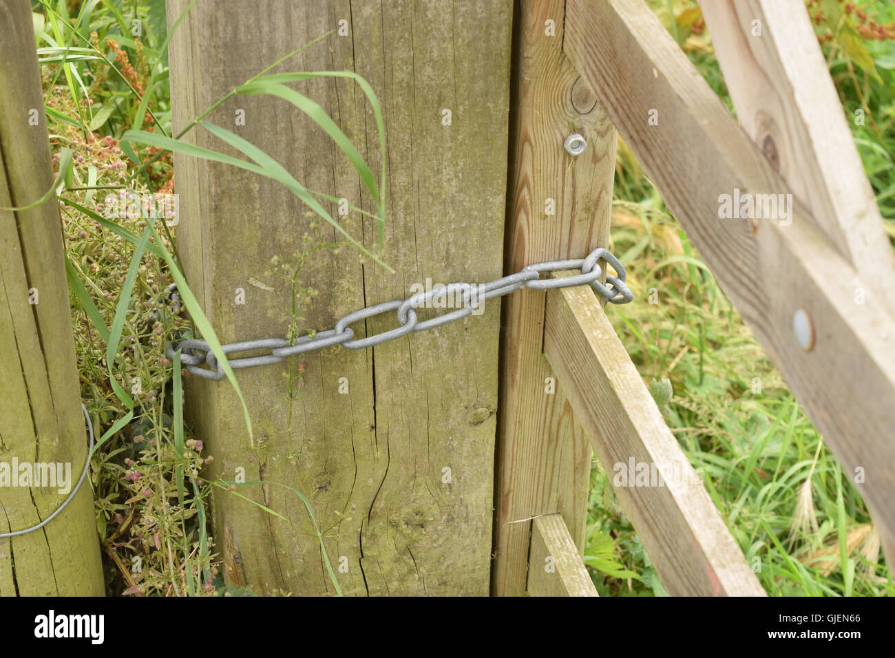 Tied to front gate hi-res stock photography and images - Alamy