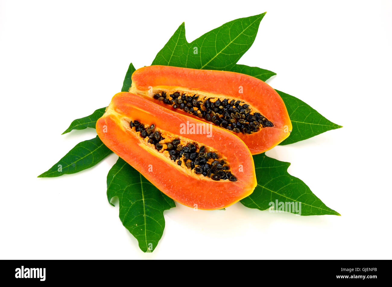 Ripe papaya (Carica papaya L) with leaves isolated with clipping path. Stock Photo