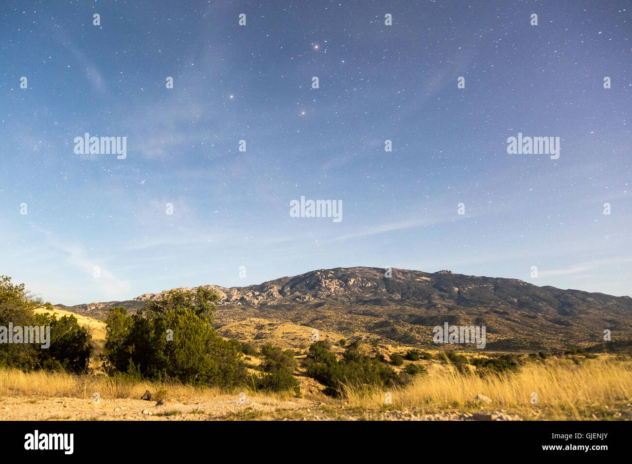 A starry night sky over Mica Mountain and Sonoran Desert grasslands lit by moonlight. Coronado National Forest, Arizona Stock Photo
