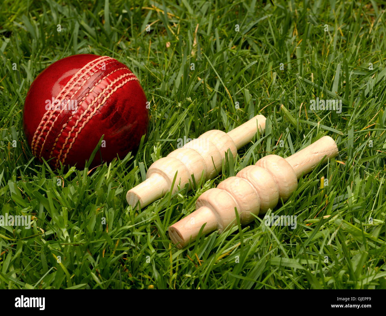 Red Leather Cricket Ball with Bails Stock Photo 114651021 Alamy