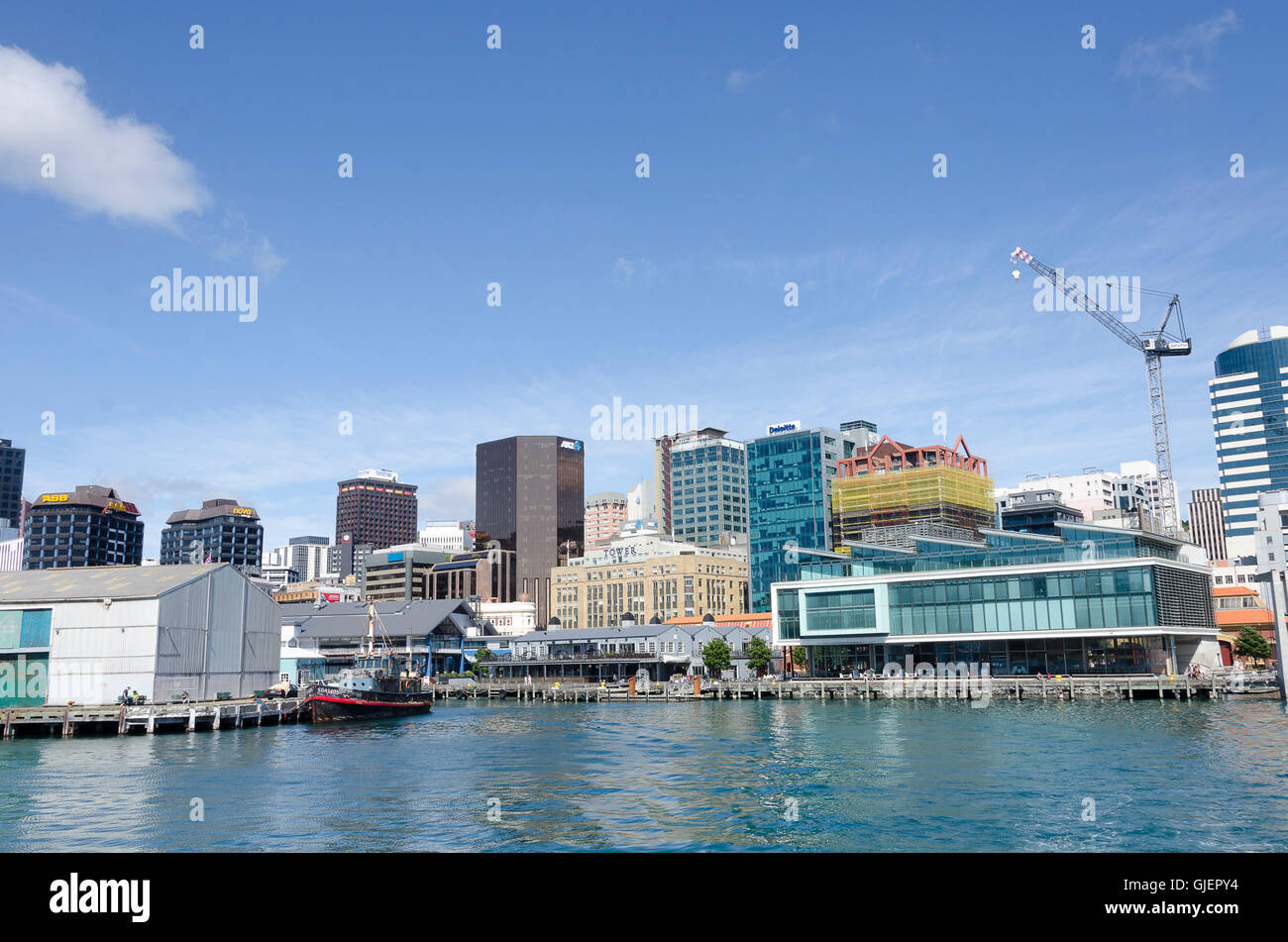 City buildings and waterfront, Wellington North Island, New Zealand Stock Photo