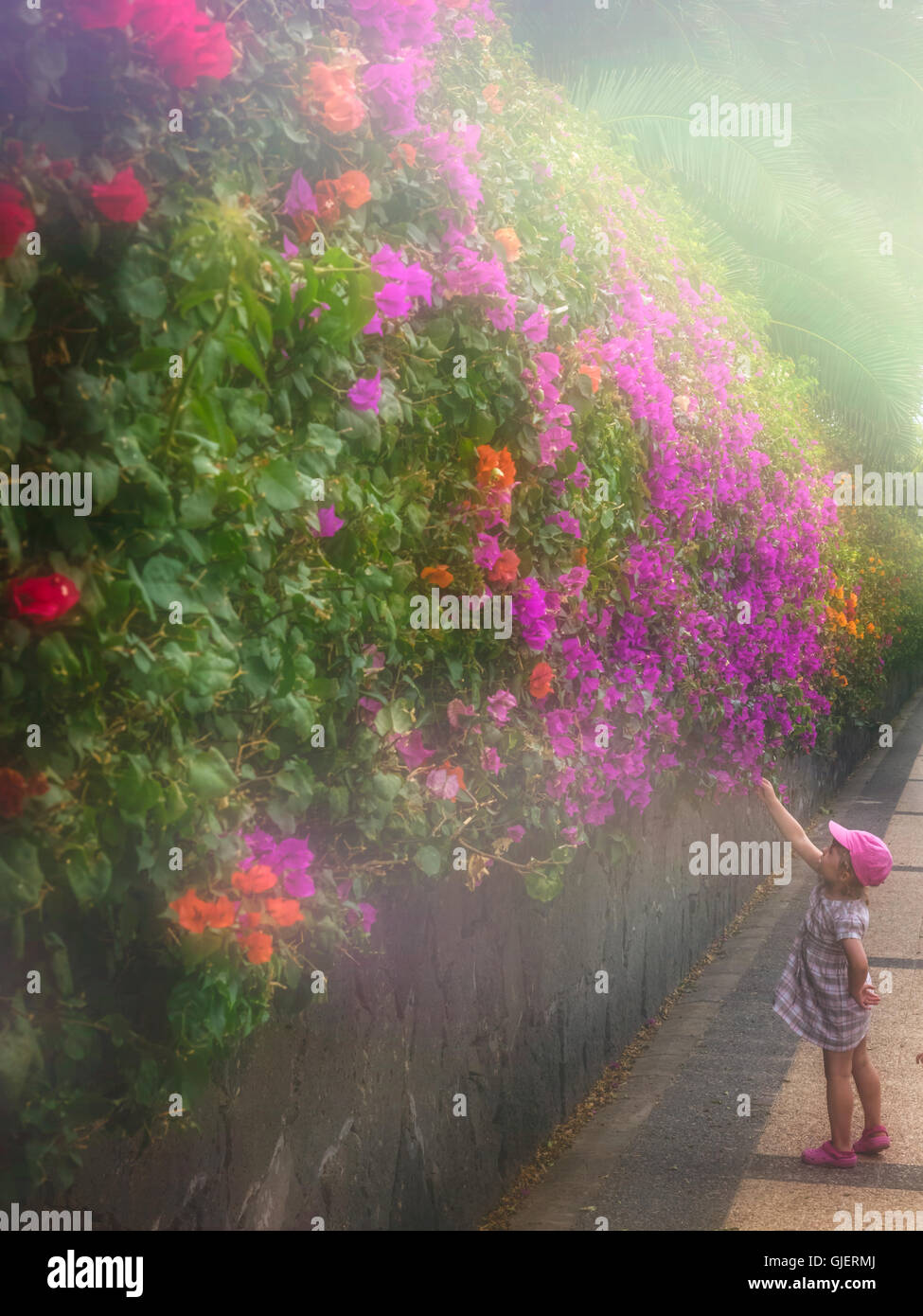 Little girl picking up flowers in a mist in spring Stock Photo