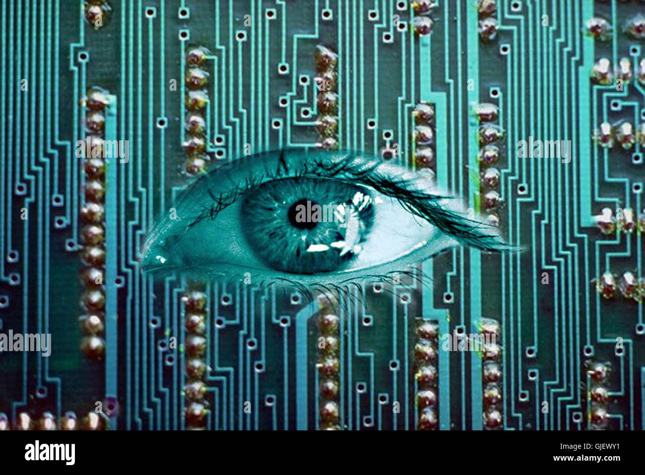 virus monitor Stock Photo