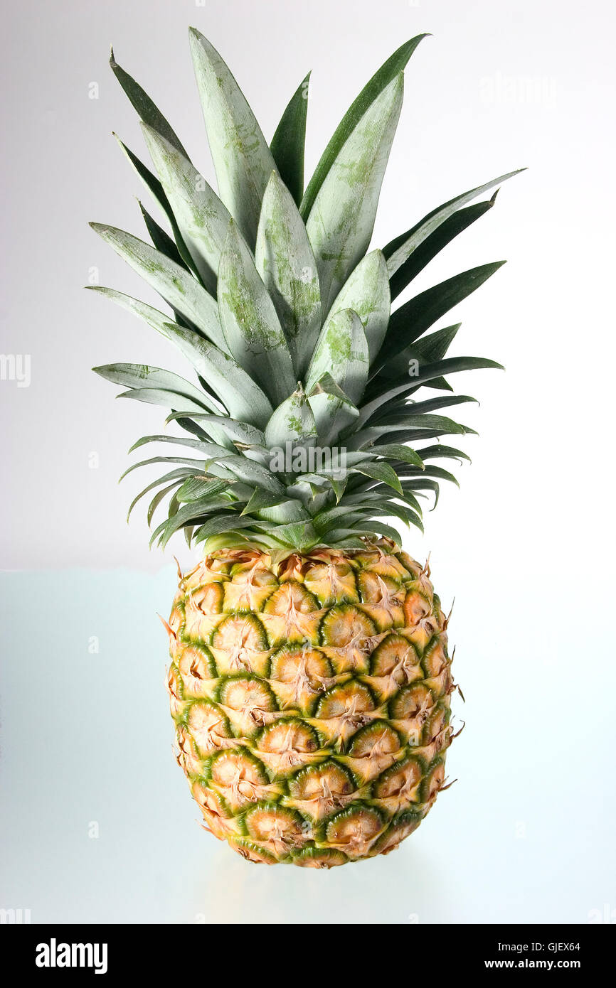 fruit tropical fruit pineapple Stock Photo - Alamy