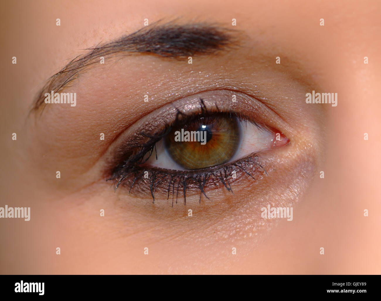 Lens eye piece hi-res stock photography and images - Alamy