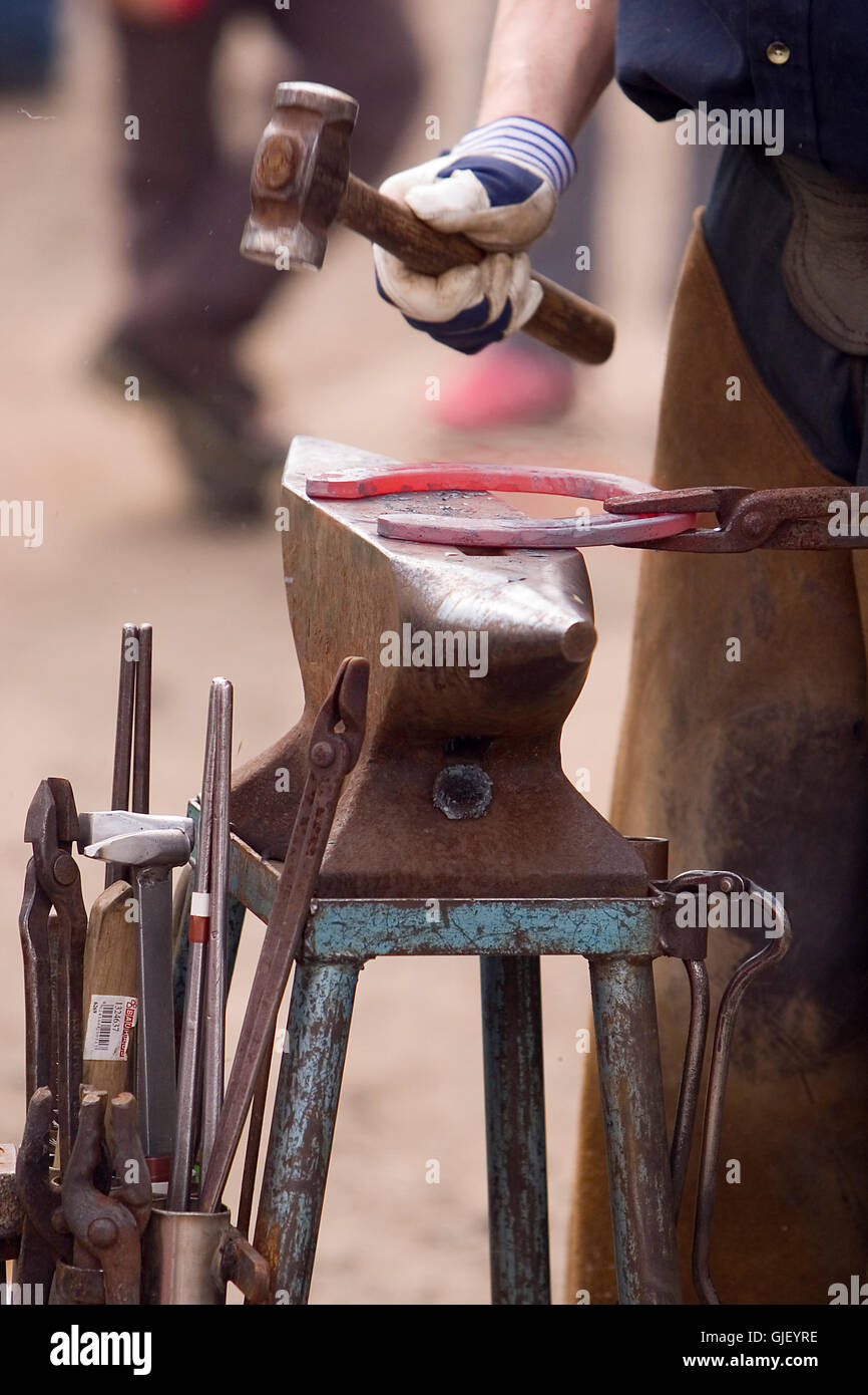 tool horse animals Stock Photo Alamy