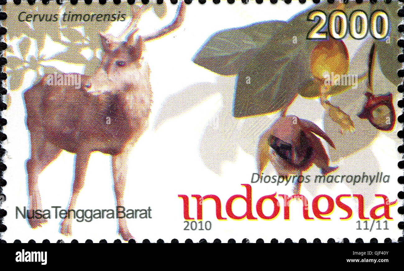 Indonesia’s stamps numbered 043-10, highlighting various national ...