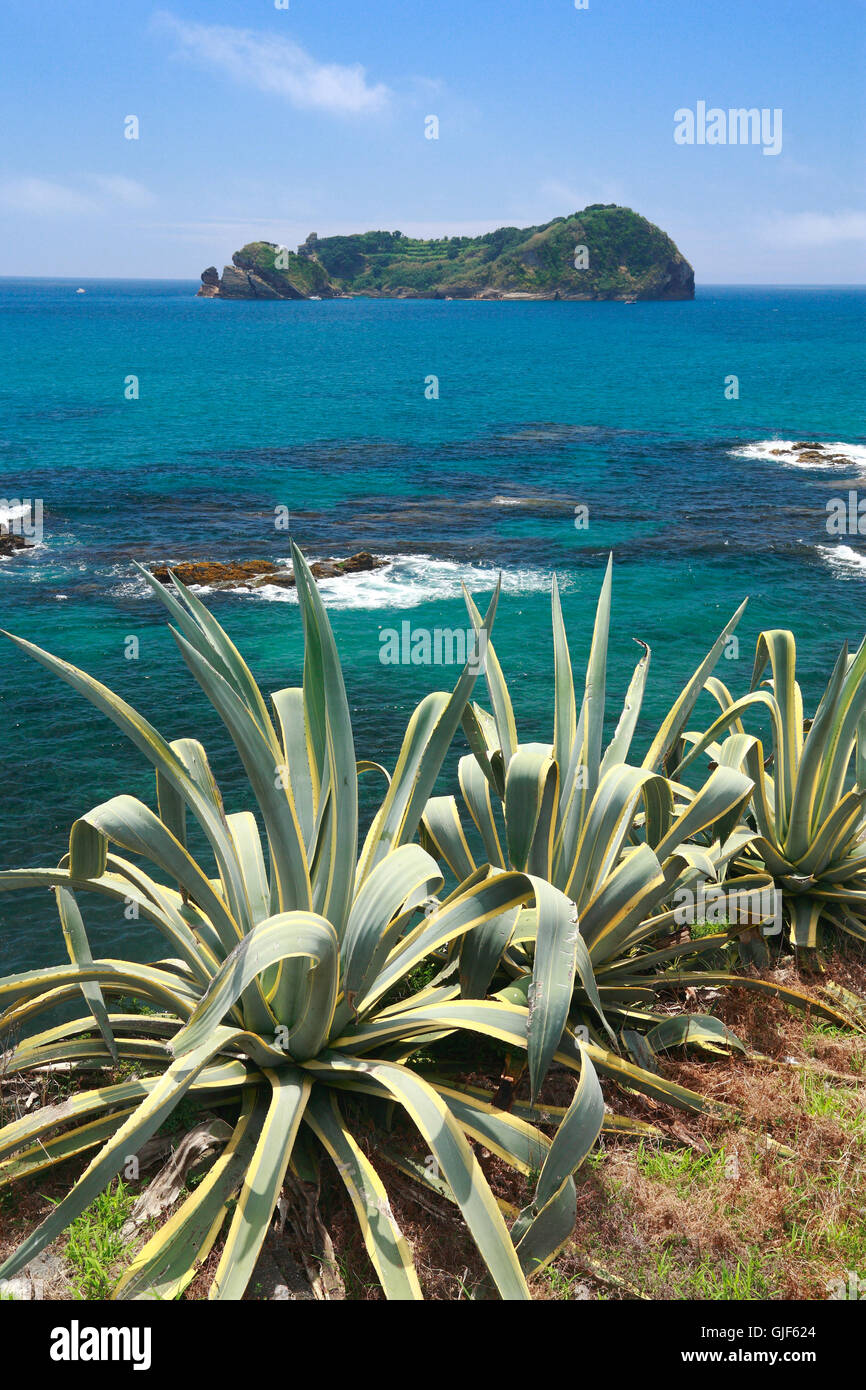 Coastal vegetation with islet on the background in a sunny day. South coast of Sao Miguel island, Azores, Portugal. Stock Photo