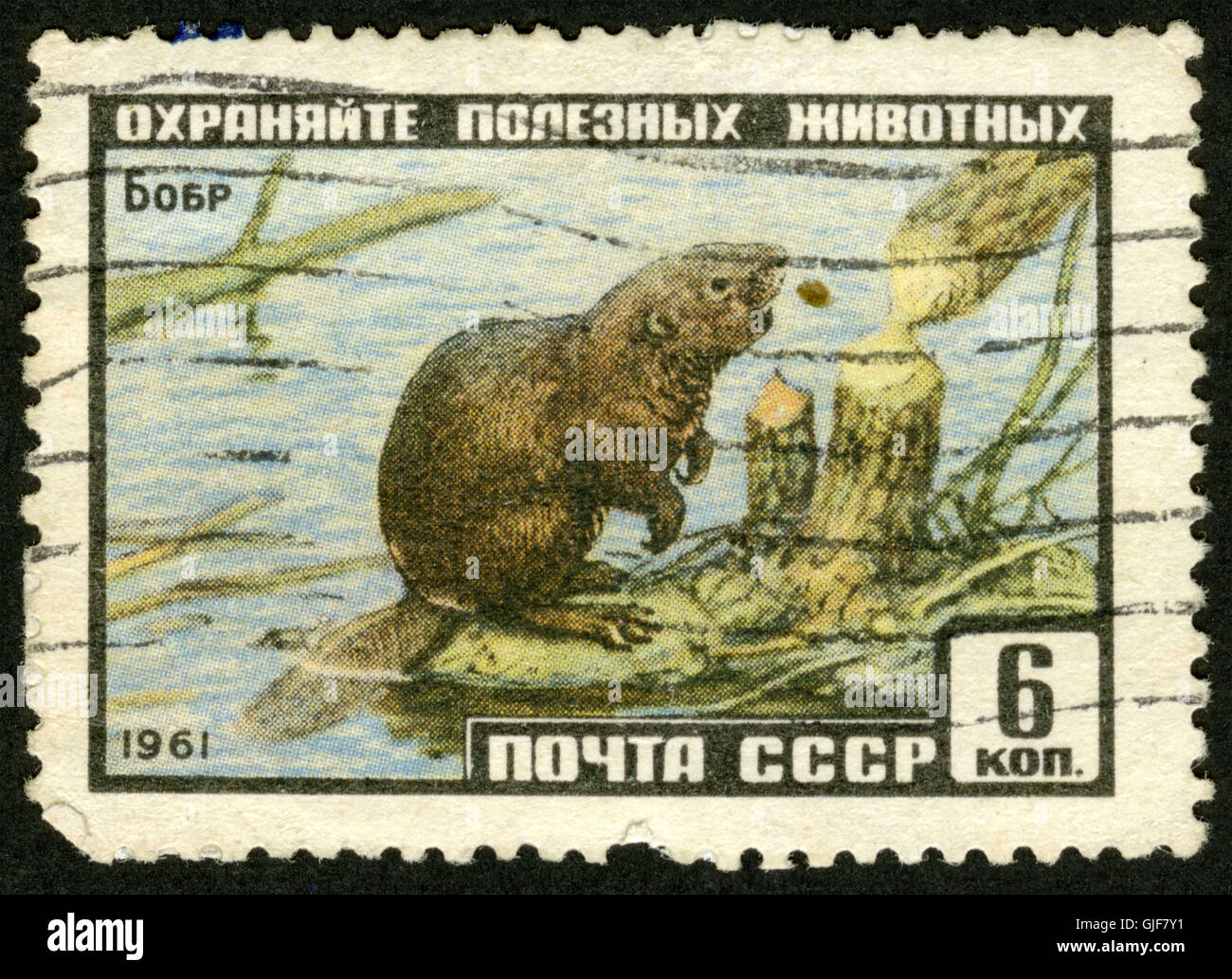 Animal stamps hi-res stock photography and images - Alamy