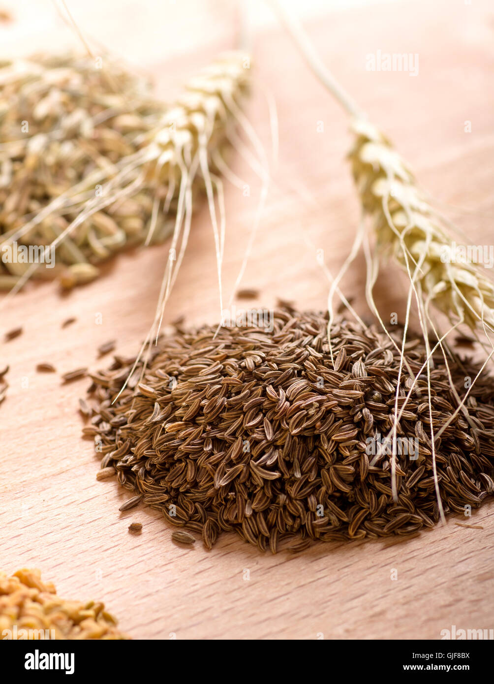 Caraway Seeds And Ears Stock Photo Alamy