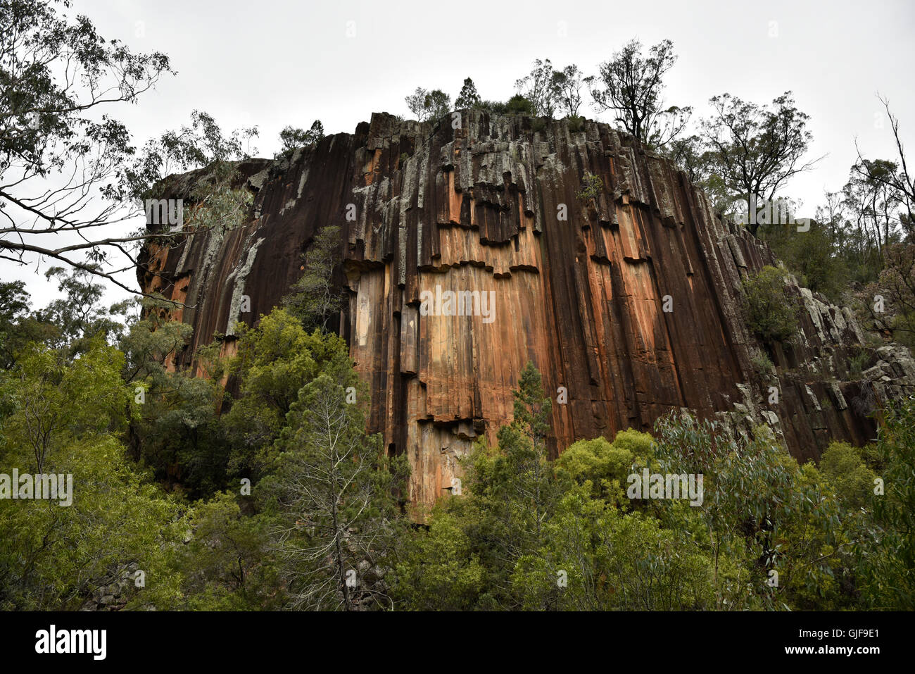 The Organ Pipe Cliff Face Of Sawn Rocks A Reminder Of Mount Stock