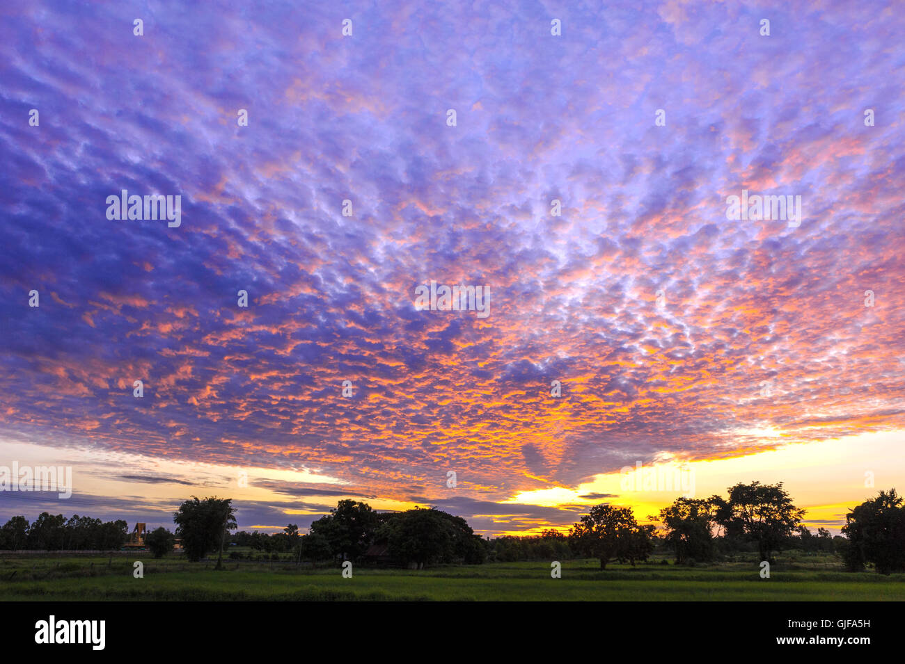 skyscape, sunrise in cloudy day Stock Photo