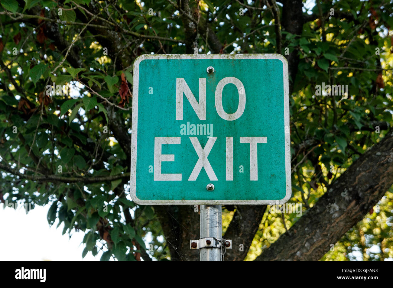 No Exit street sign Stock Photo