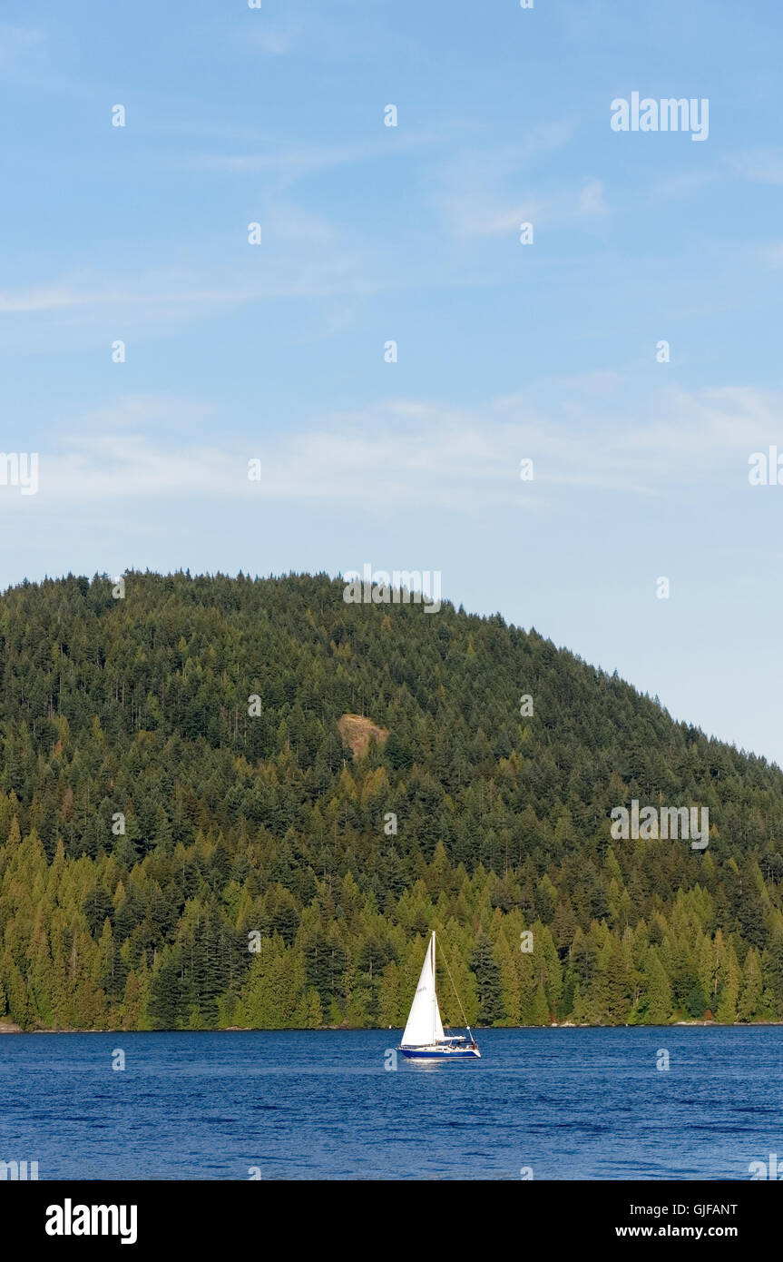 White sailboat against forested mountain and blue sky, Indian Arm, Deep Cove, British Columbia, Canada Stock Photo